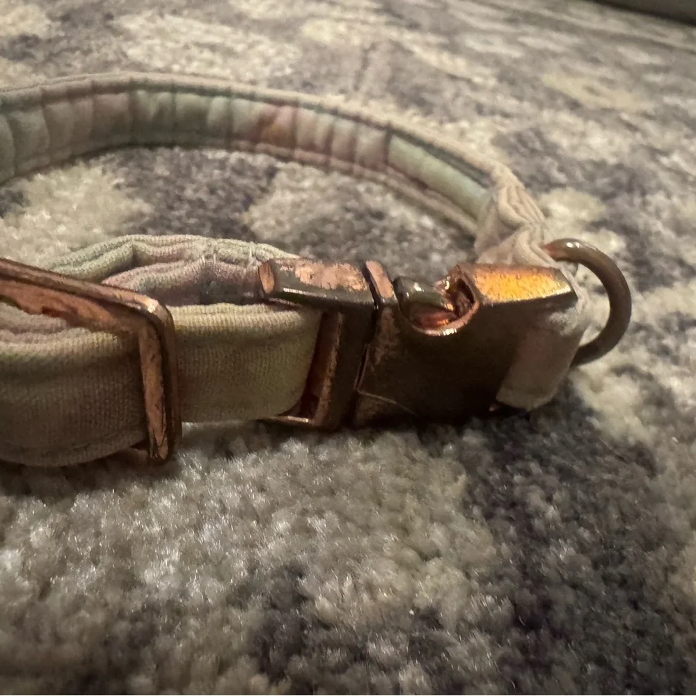 Pastel tie dye small dog collar